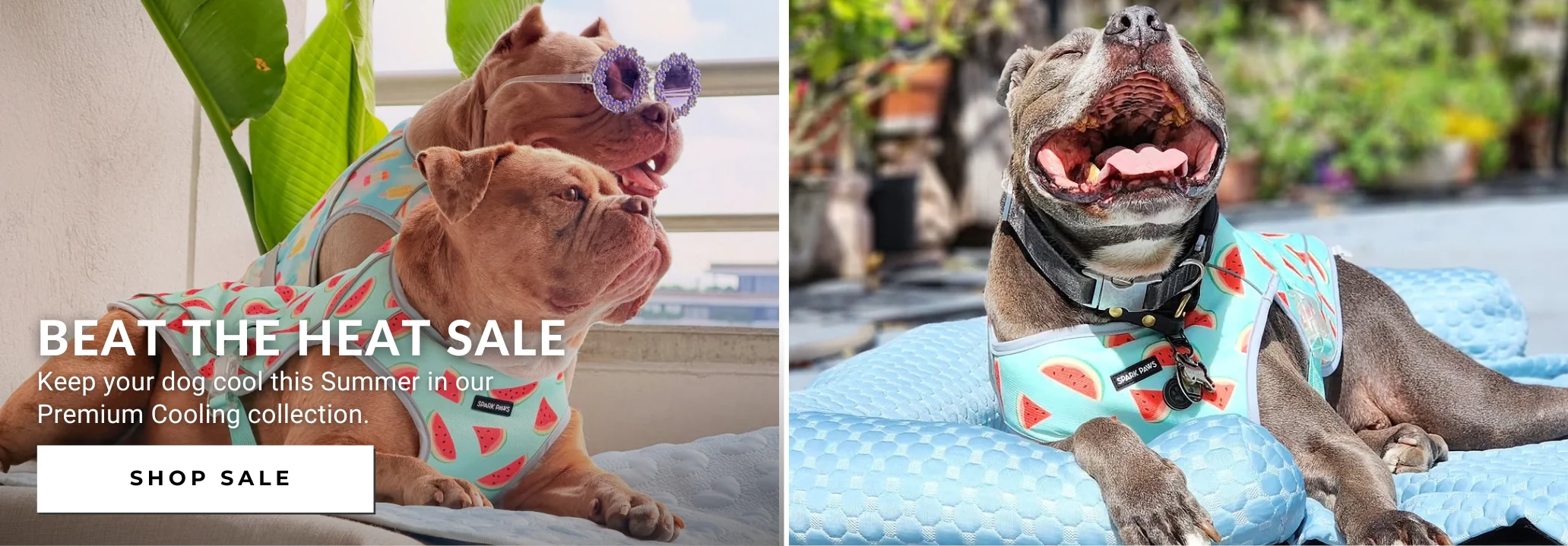 Style for You and Your Best Friend