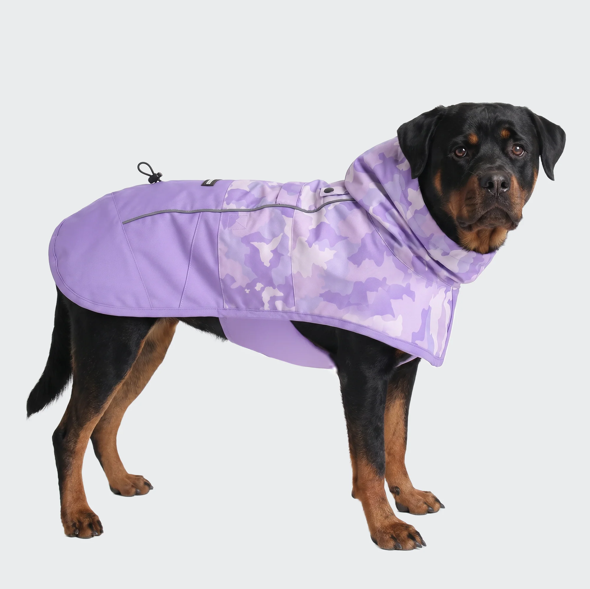 Product image 76