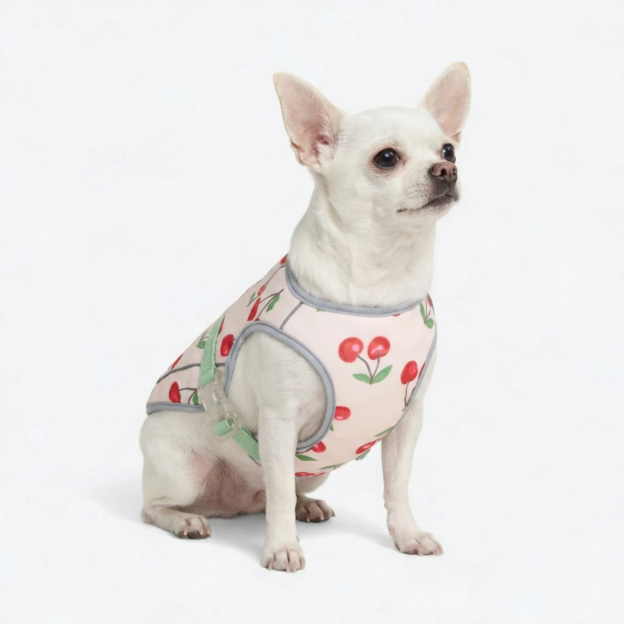 Product image 67