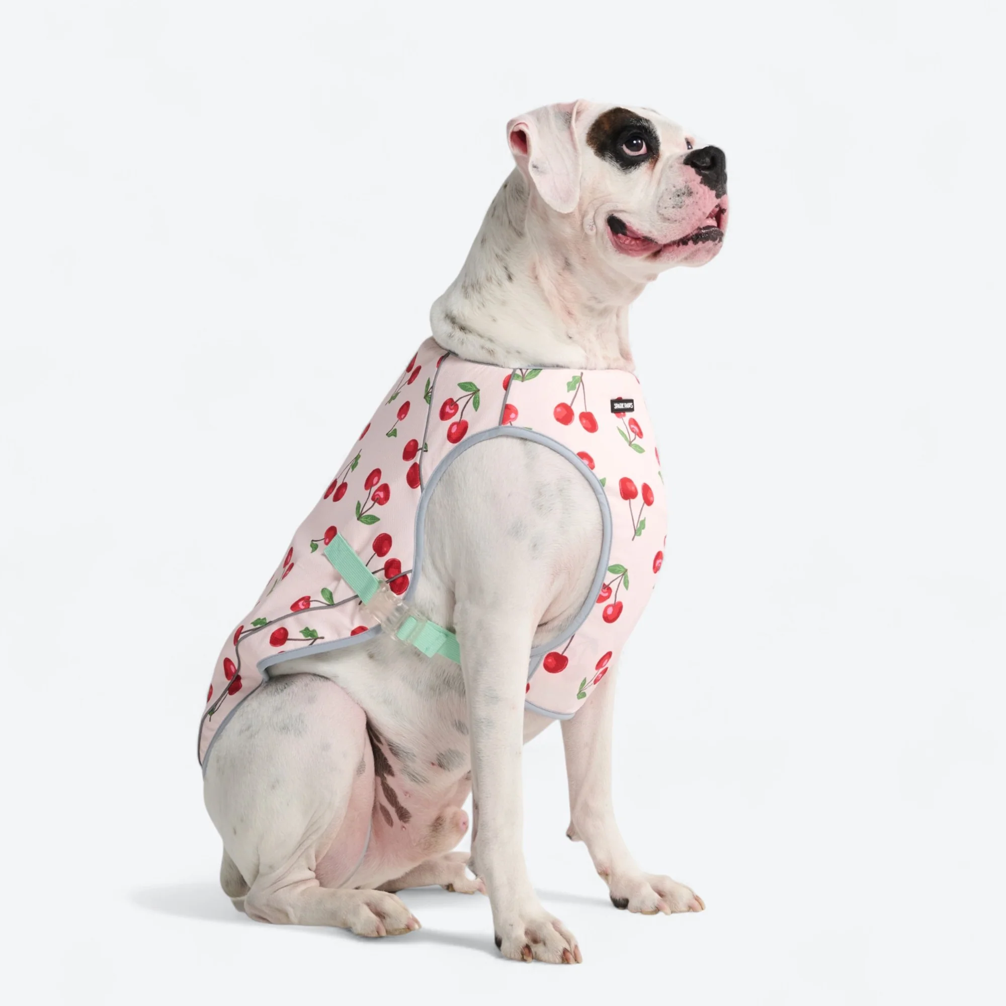 Product image 69