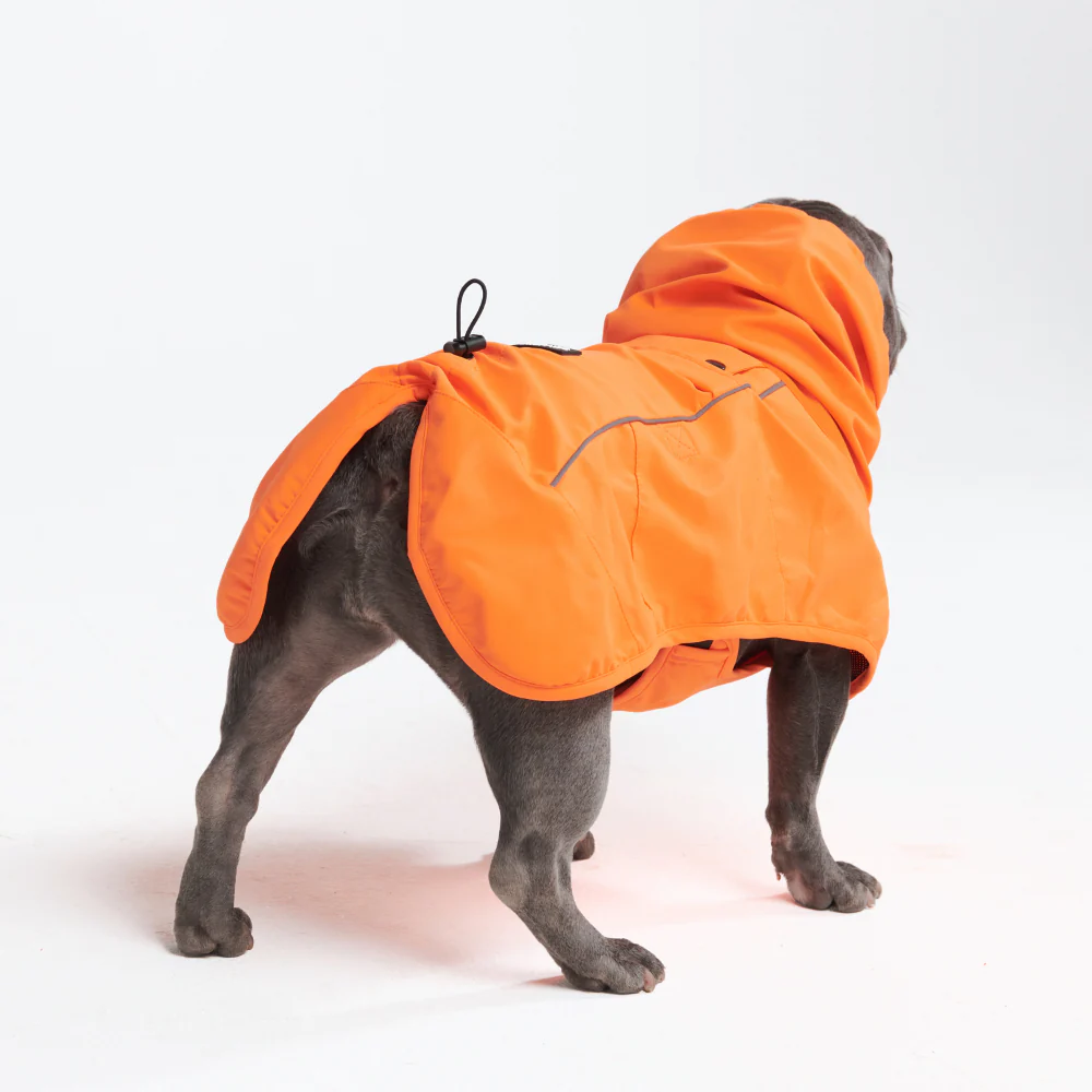 Product image 68