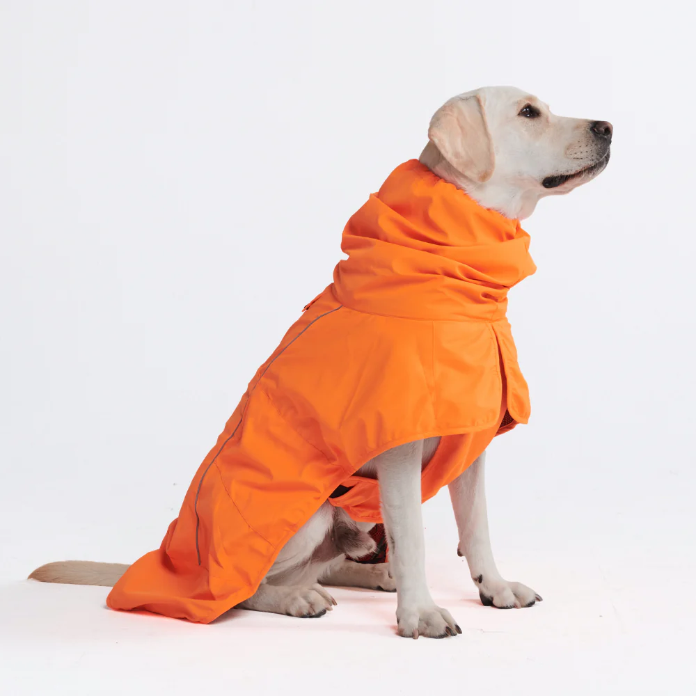 Product image 69